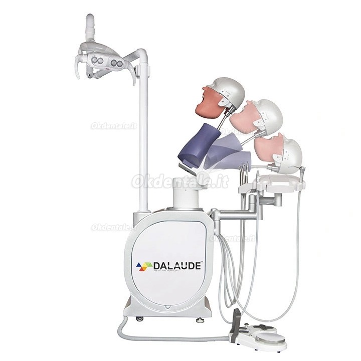Simulatore di Simulatore per odontoiatria unità di simulazione tecnica clinica